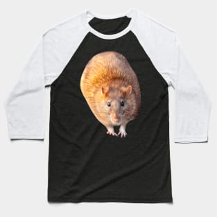 Mr Rat Baseball T-Shirt